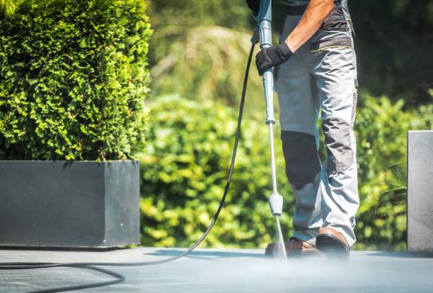 Professional Pressure washing in Patton Village, TX